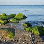 Seaside Haven In Stoense-by Traum * Tranekær